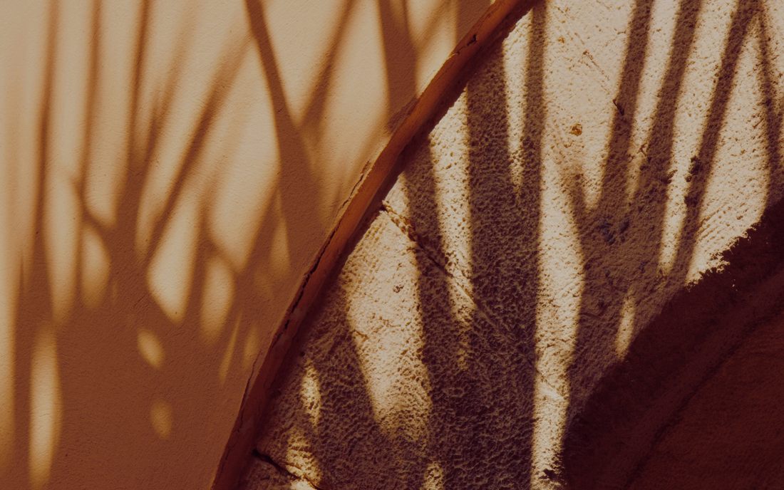 Unlock Longevity Through Food with special guest Ulrika Davidsson