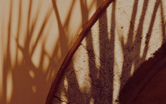 Unlock Longevity Through Food with special guest Ulrika Davidsson